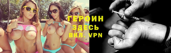 стаф Надым