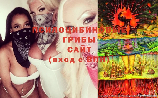 стаф Надым