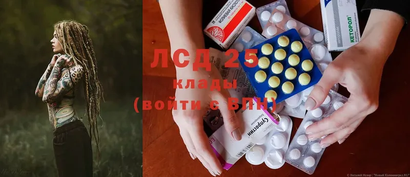 купить наркотик  Каргополь  LSD-25 экстази ecstasy 