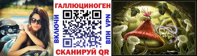 Галлюциногенные грибы GOLDEN TEACHER  где можно купить наркотик  Каргополь 